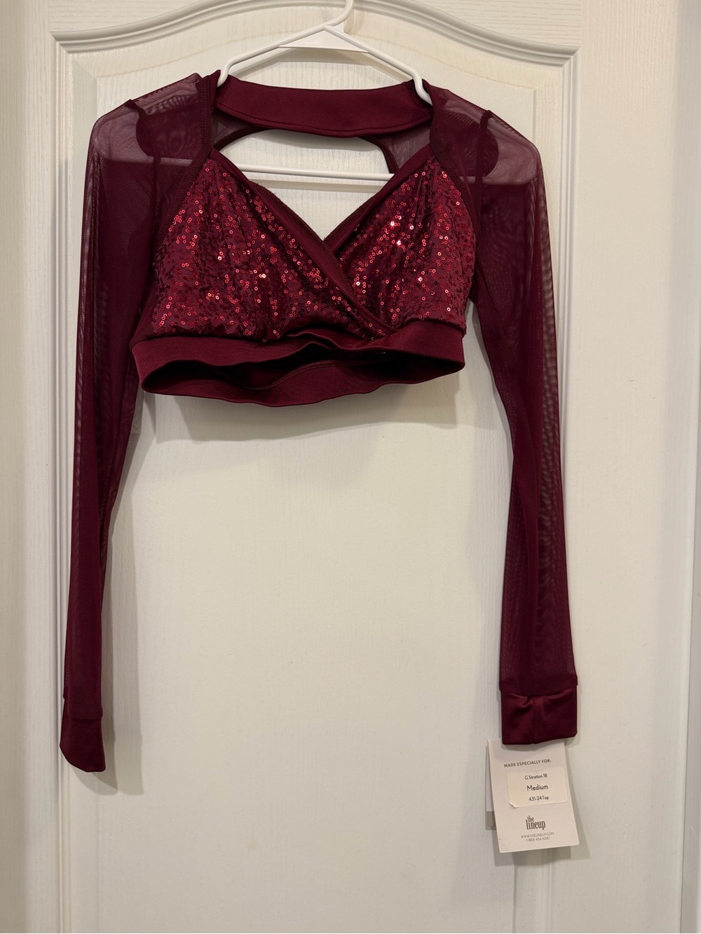 The Line Up Burgundy Sequin Mesh Dance Costume Crop Top Medium NWT
